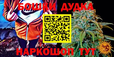 гашик Бузулук